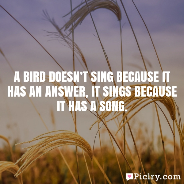 it sings because it use a song Magnet A bird doesn't sing because it has an answer